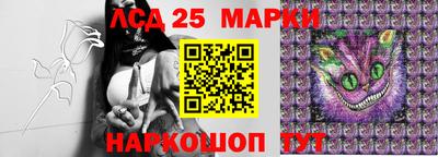мяу мяу мука Малоярославец